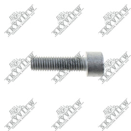 1000291564 - Cheese Head Screw