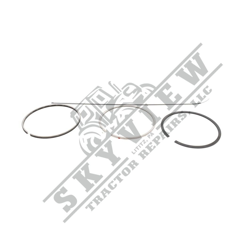 1000293746 - Set Of Backup Rings