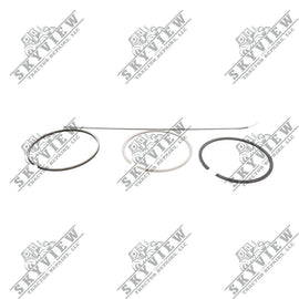 1000293746 - Set Of Backup Rings