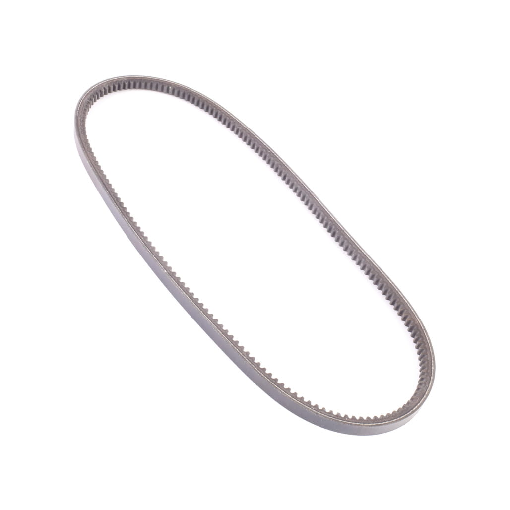 1000294955 - Belt