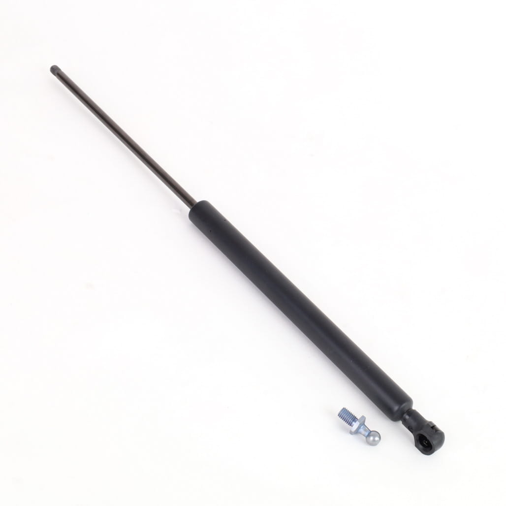 1000299166 - Gas Strut