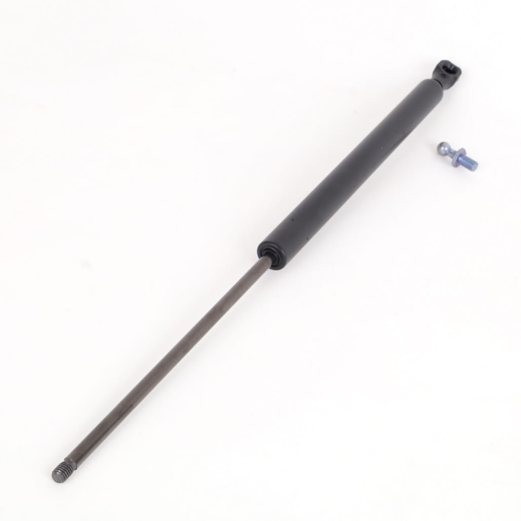 1000299166 - Gas Strut