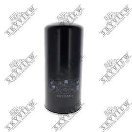1000301253 - Fuel Filter