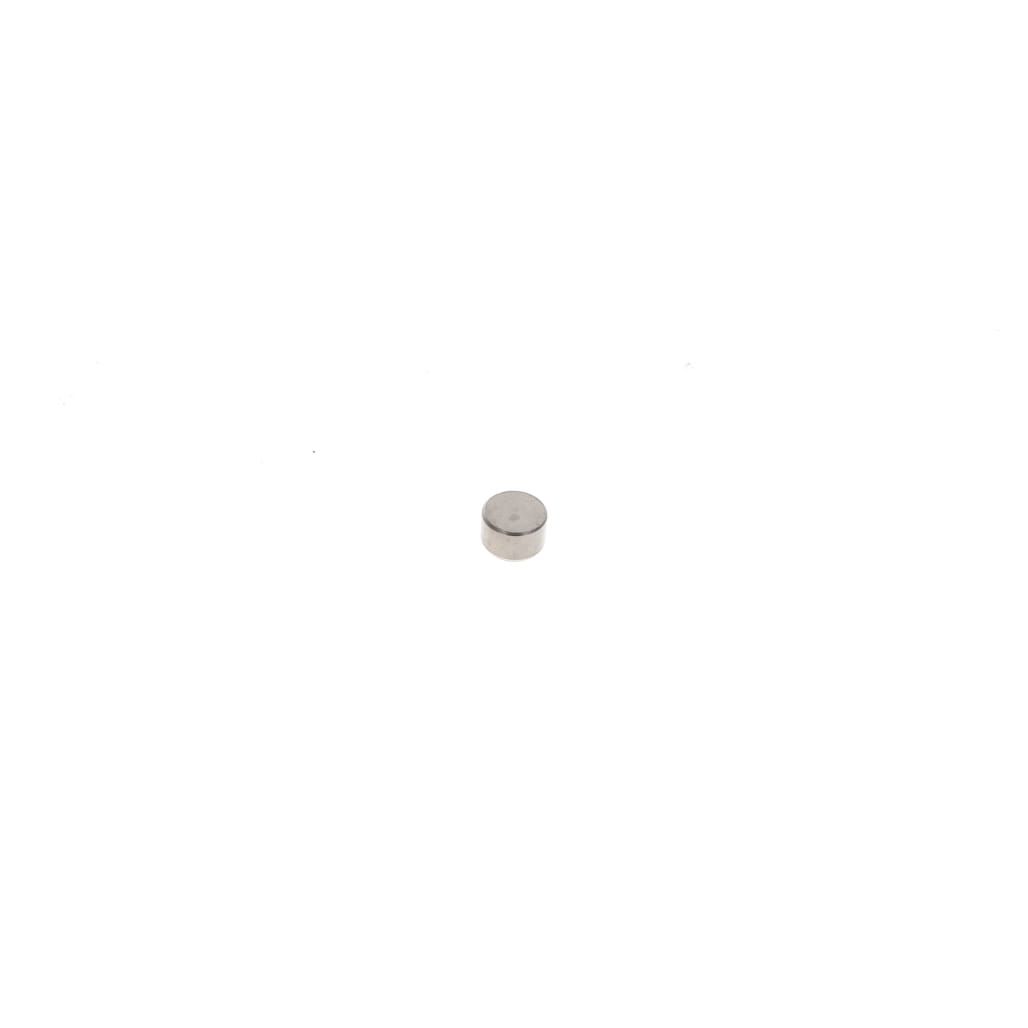 1000310599 - Valve Cap