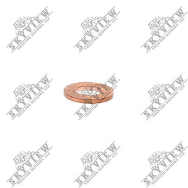1000310671 - Seal Ring