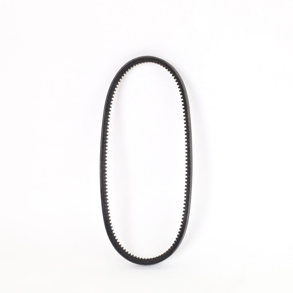1000310958 - Belt