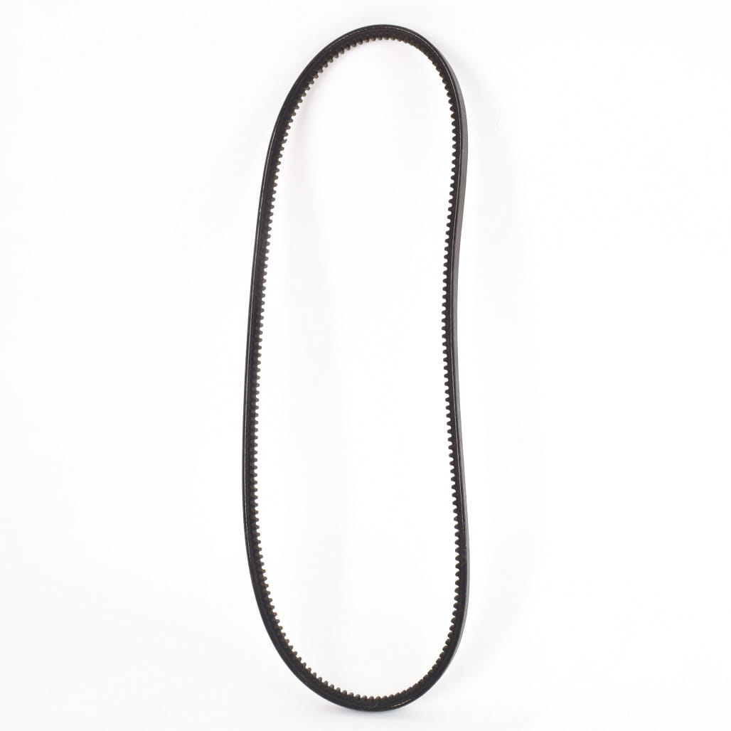 1000310962 - Belt