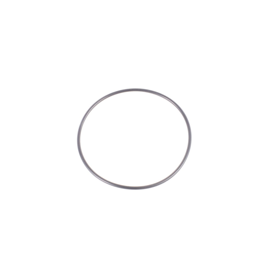 1000313231 - O-Ring