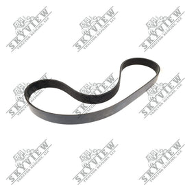 1000329459 - Fan Belt