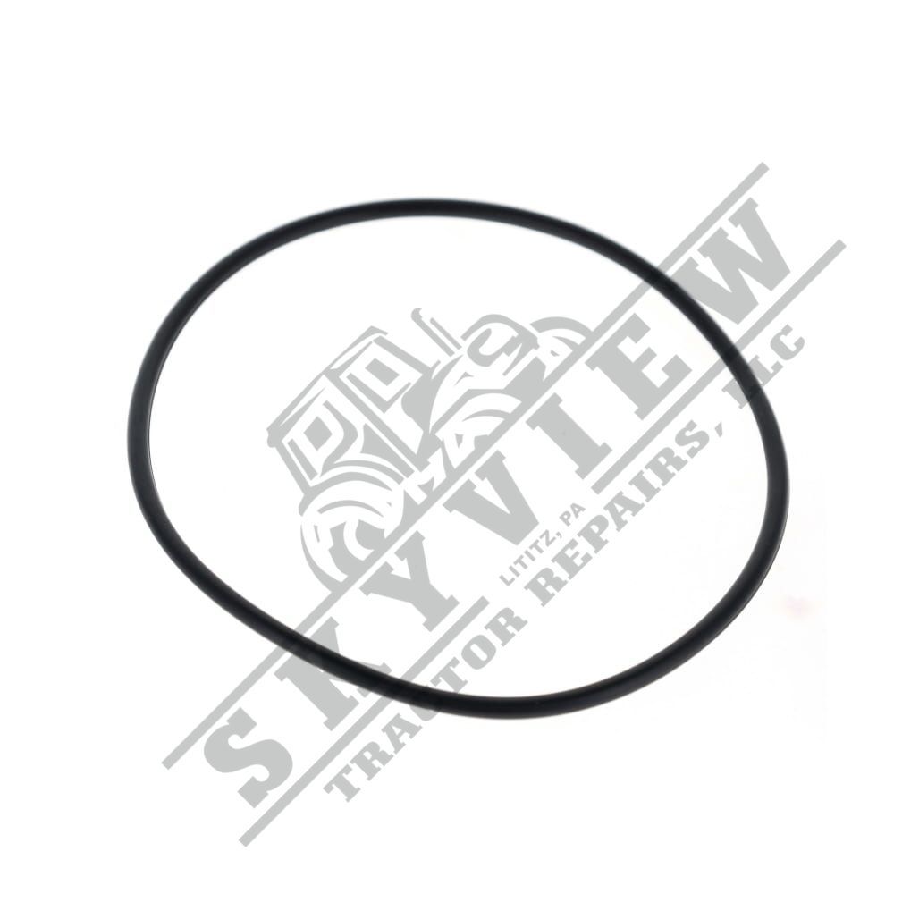 1000330342 - O Ring