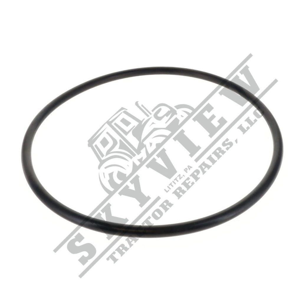 1000339886 - O Ring
