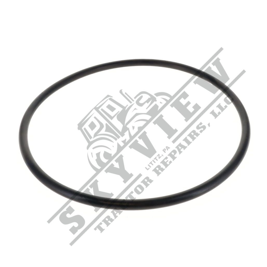 1000339886 - O Ring