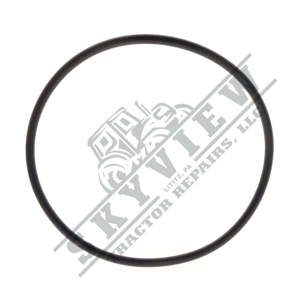 1000339886 - O Ring