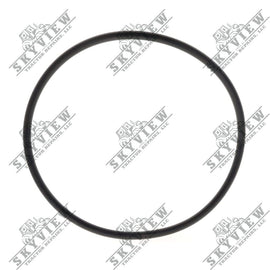 1000339886 - O Ring