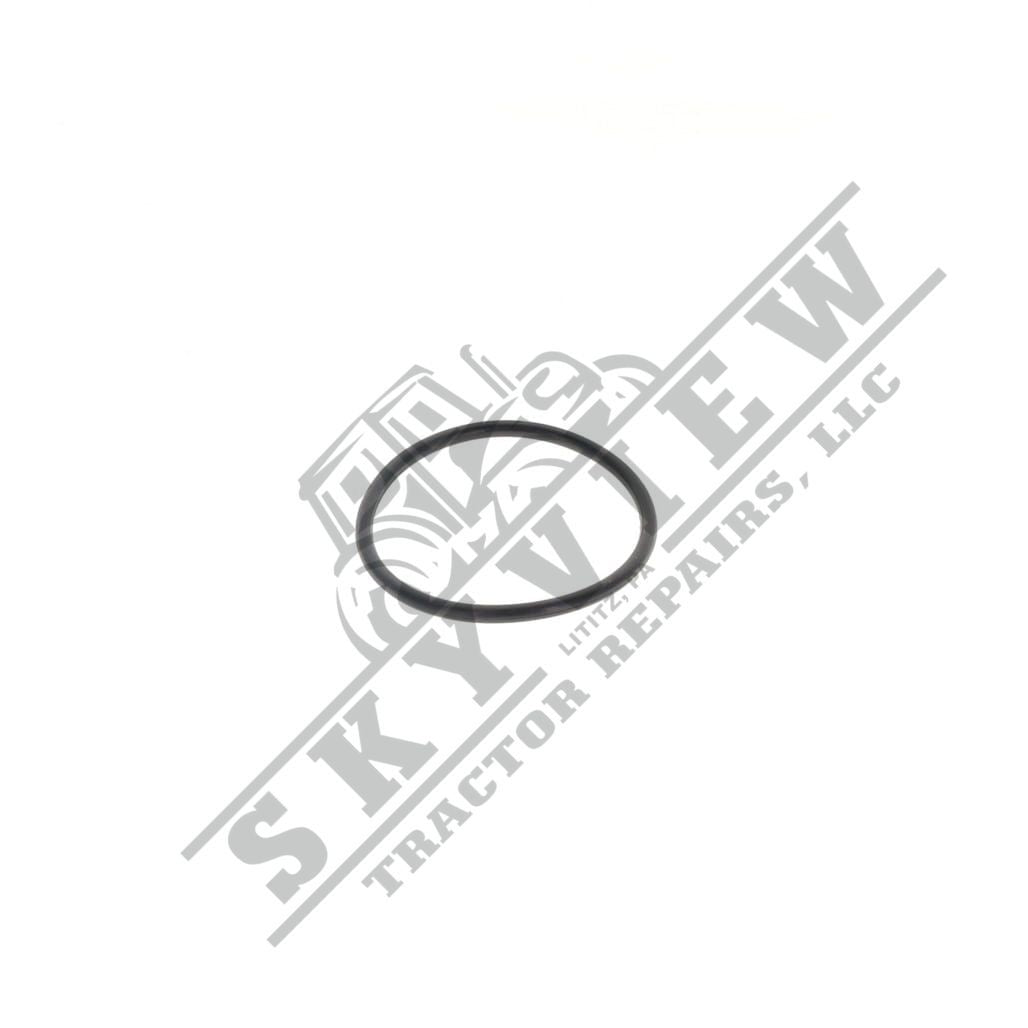 1000340320 - O Ring
