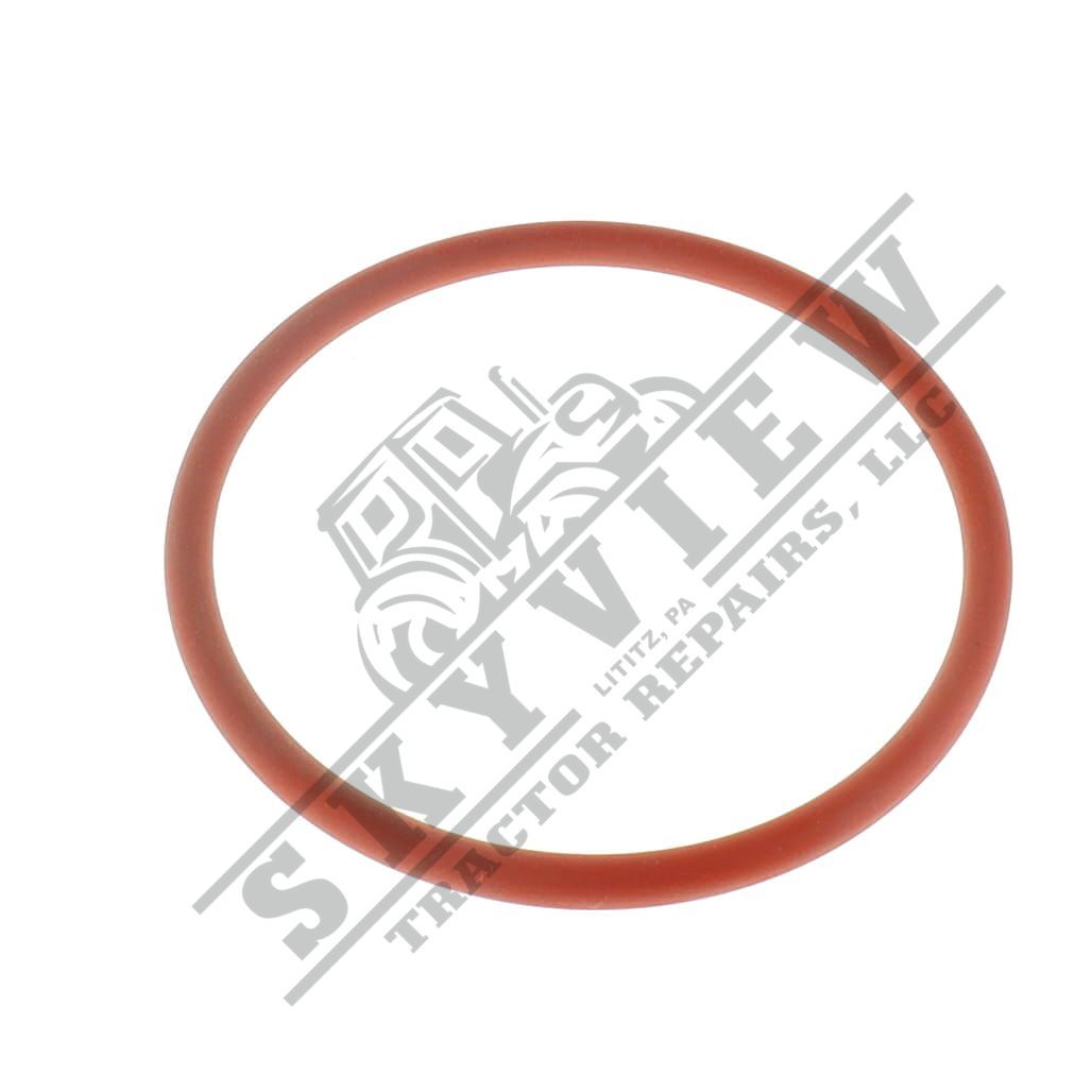 1000341113 - O Ring