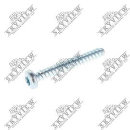 1000343057 - Allen Head Screw