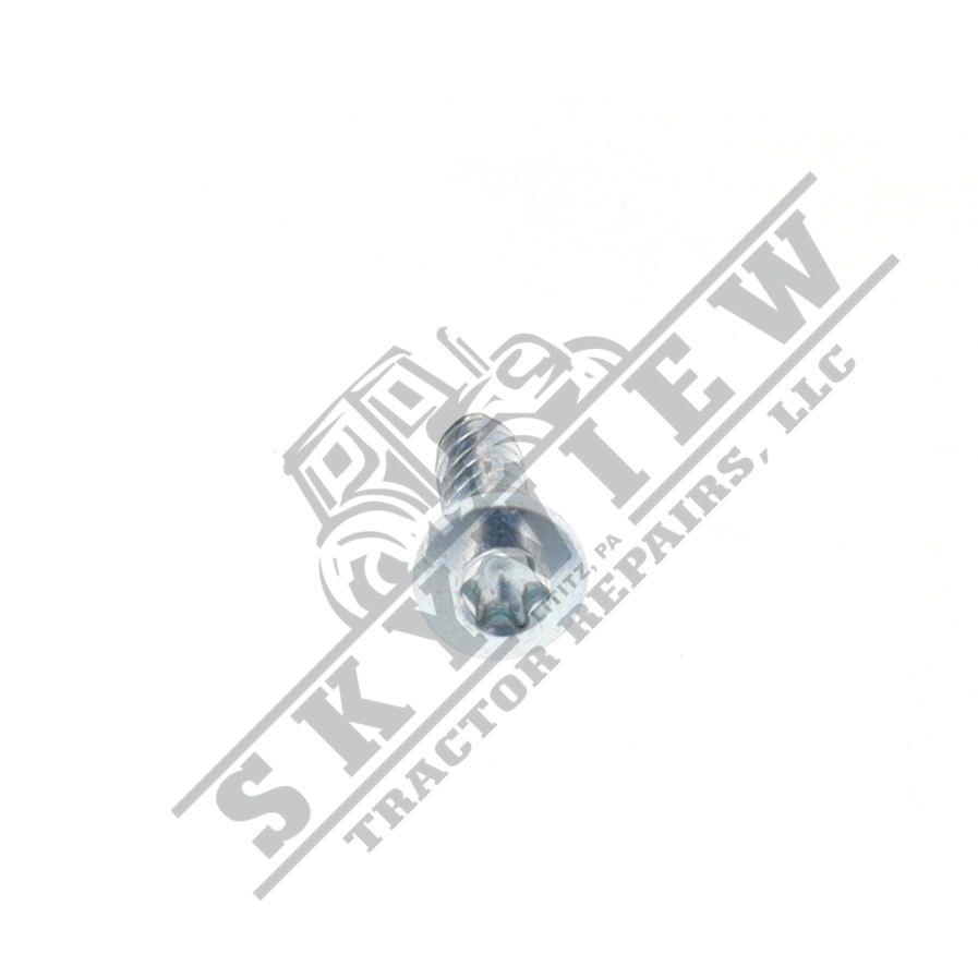 1000343067 - Allen Head Screw