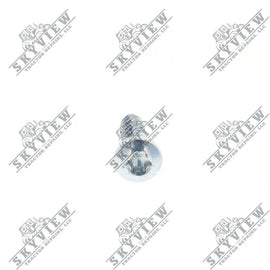 1000343067 - Allen Head Screw