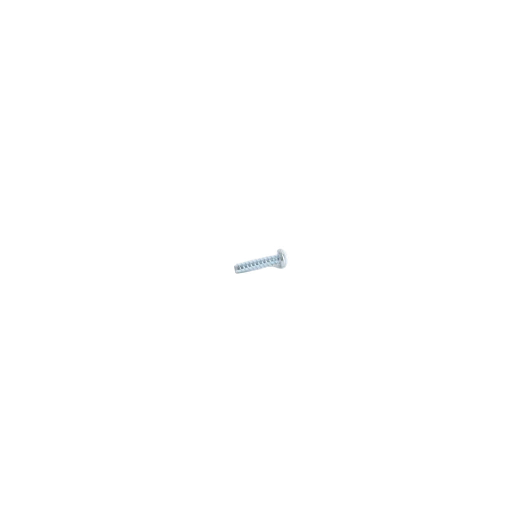 1000343163 - Screw