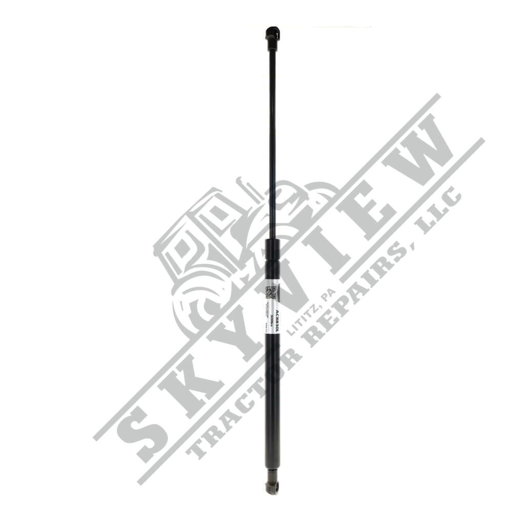 1000343183 - Gas Spring, Door