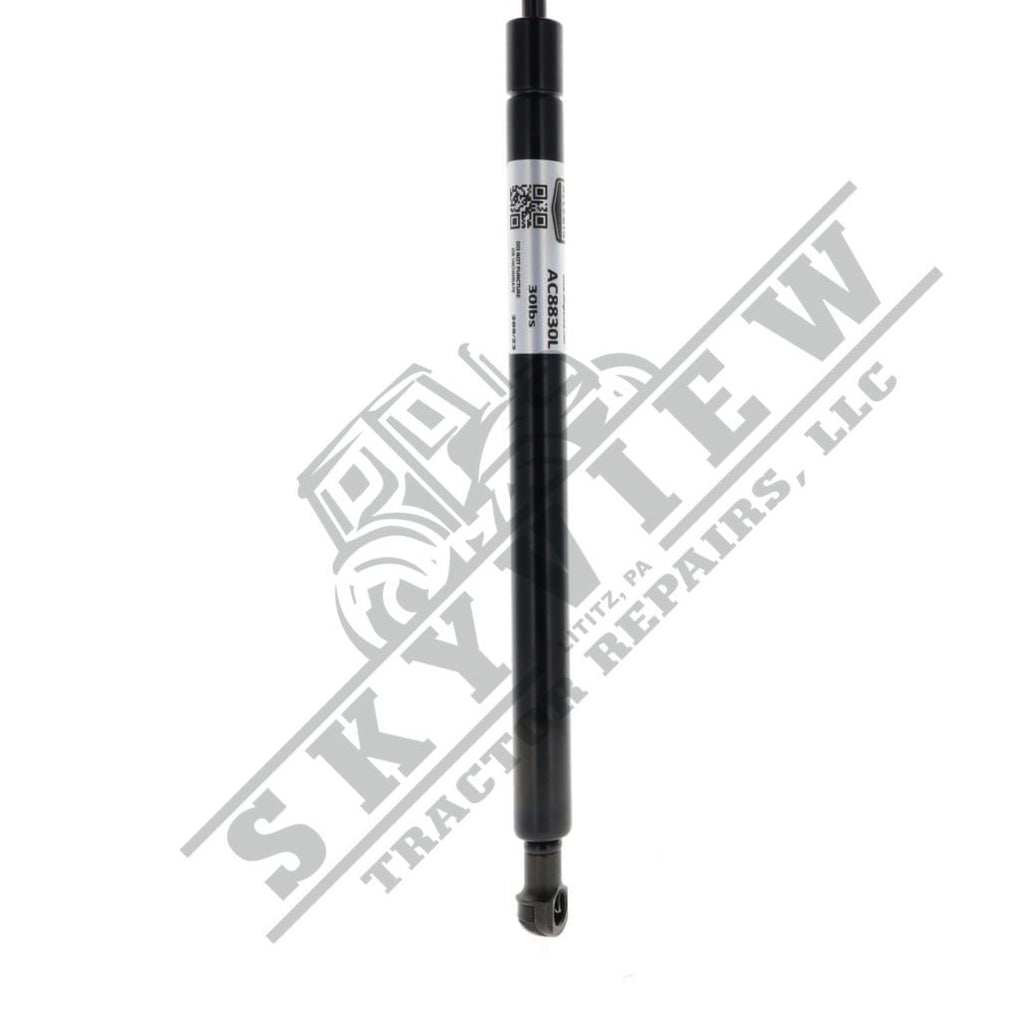 1000343183 - Gas Spring, Door