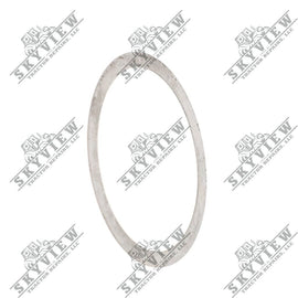 1000343253 - Axle Shim