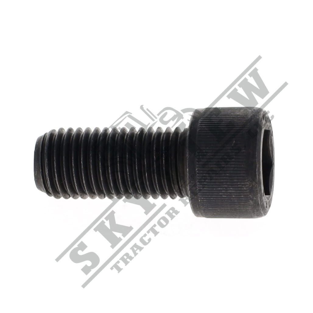 1000343282 - Allen Head Bolt