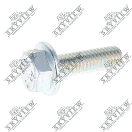 1000343317 - Flange Bolt