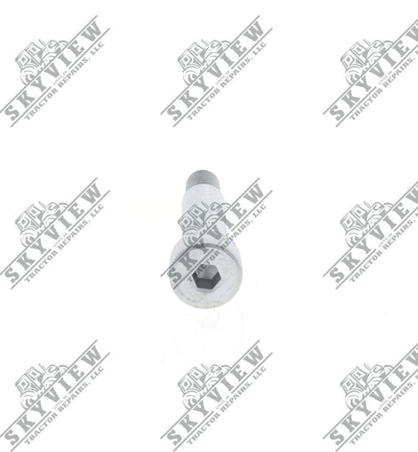 1000343319 - Allen Head Bolt