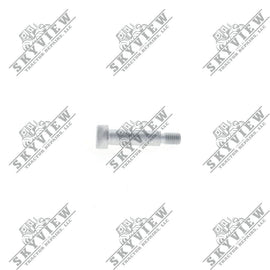 1000343319 - Allen Head Bolt