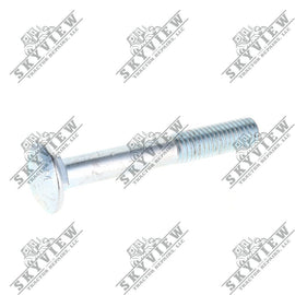 1000343321 - Carriage Bolt