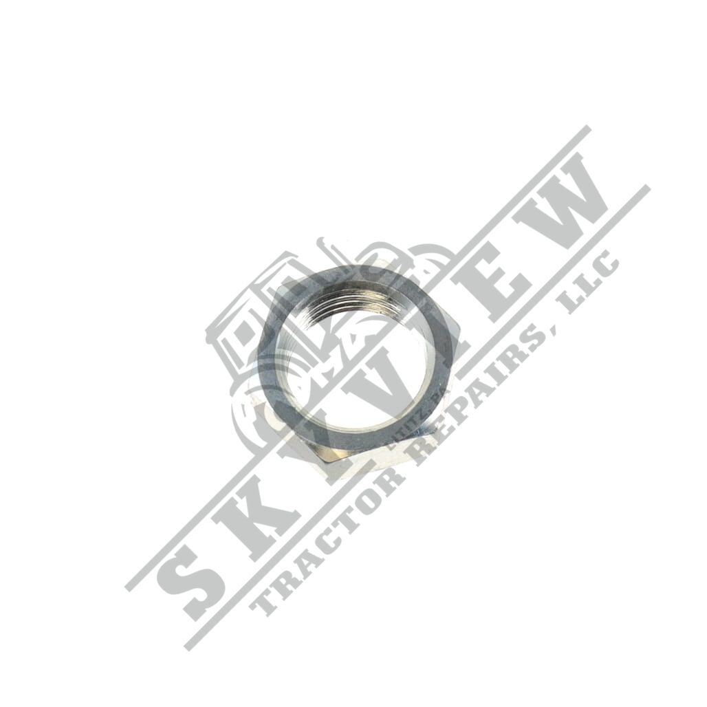 1000343334 - Hex Nut
