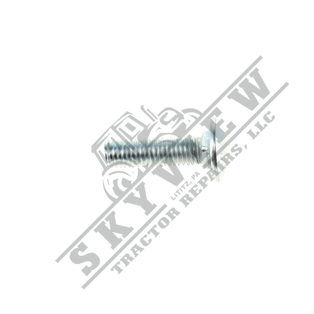 1000343405 - Carriage Bolt