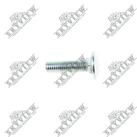 1000343405 - Carriage Bolt