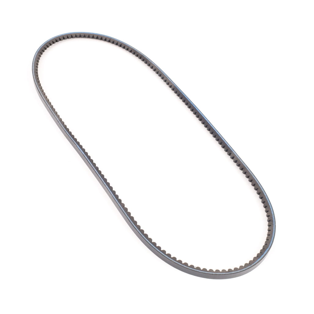 1000346916 - Belt