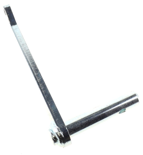 1000353156 - Lever