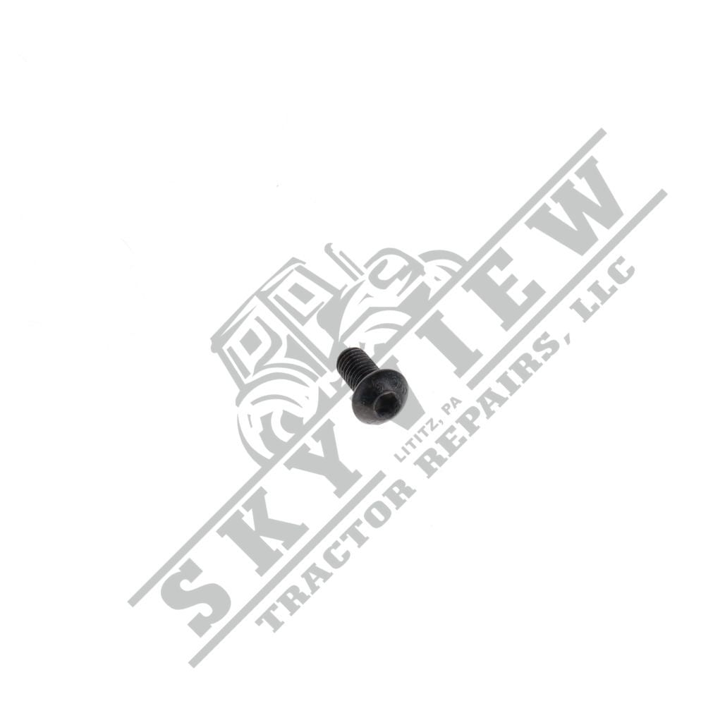 1000356555 - Allen Head Bolt