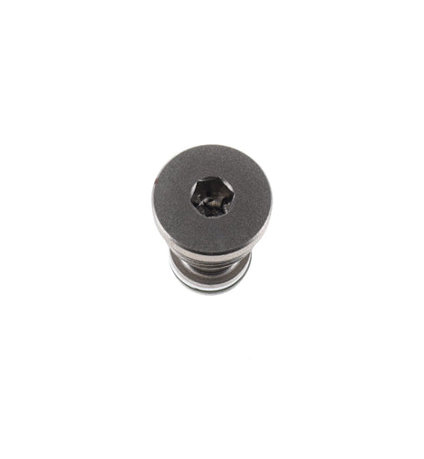 1000364879 - Valve Plug