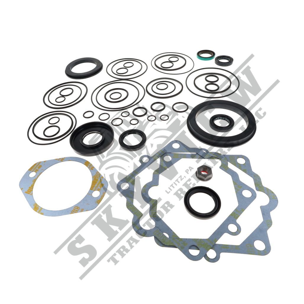 1000365316 - Seal Kit