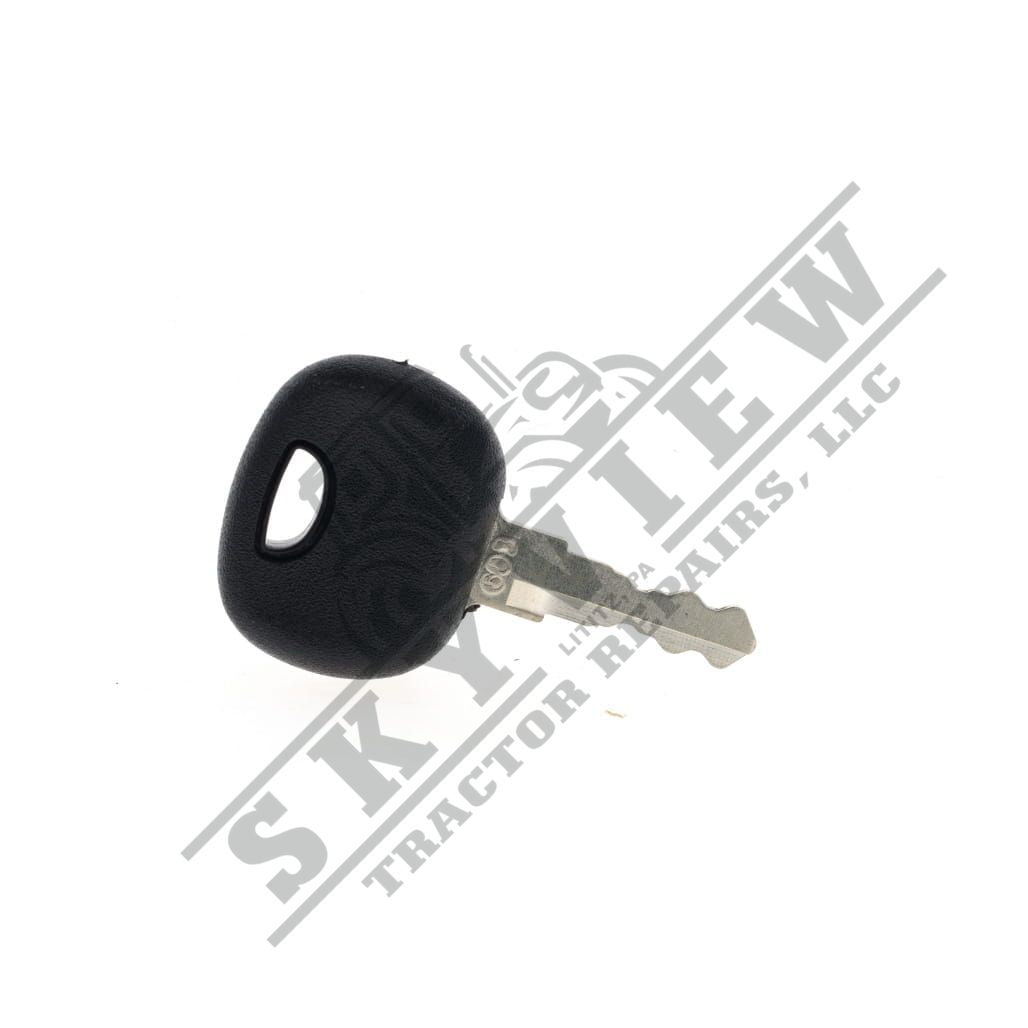 1000366176 - Key