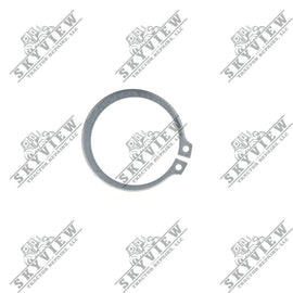 1000366265 - Snap Ring