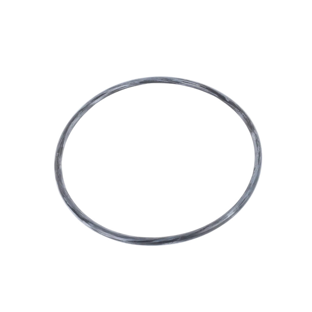 1000366582 - O-Ring