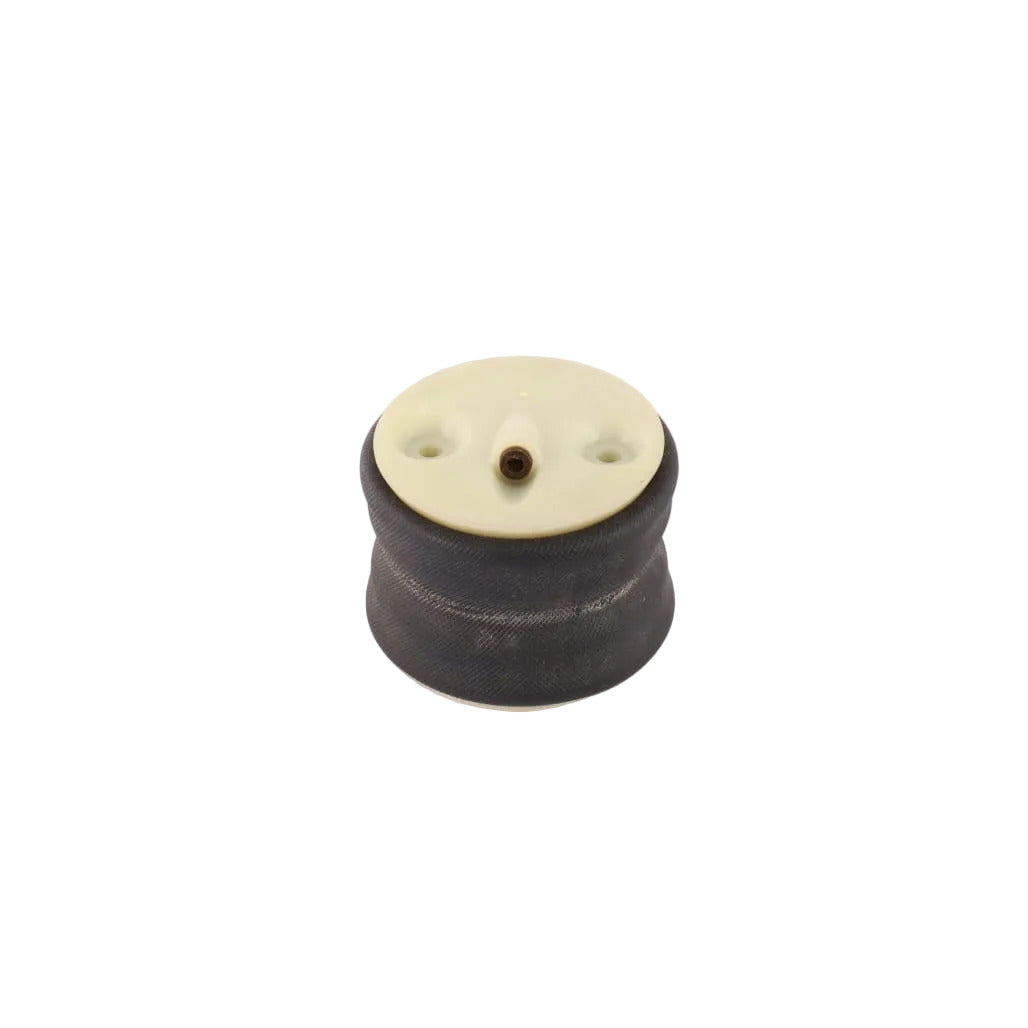1000367887 - Airspring
