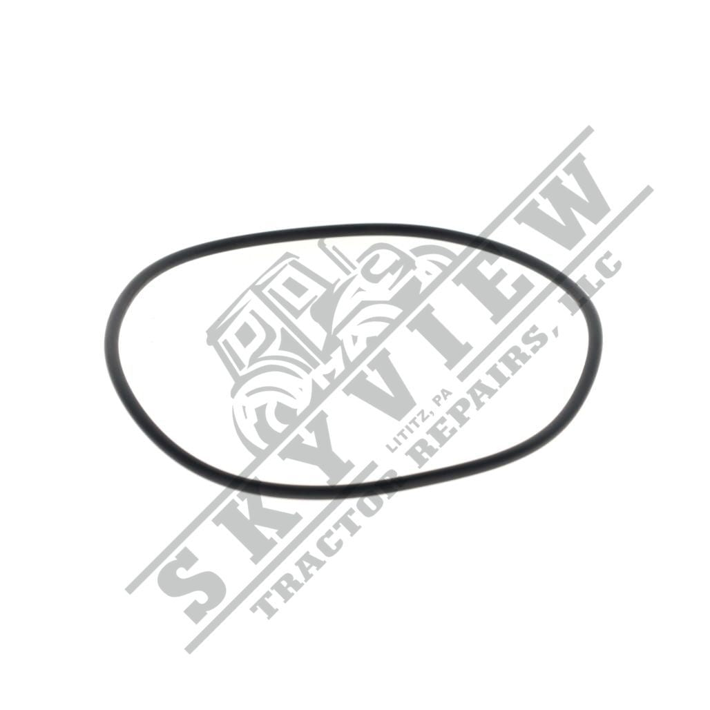 1000376119 - O Ring