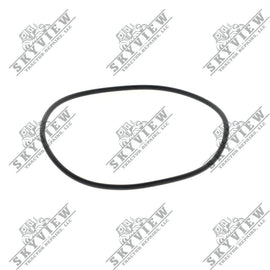 1000376119 - O Ring