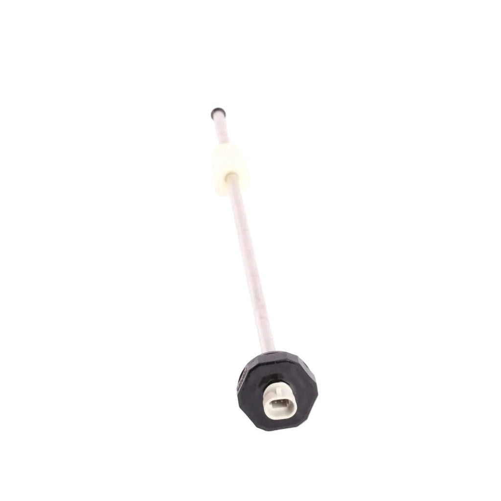 1000426243 - Fuel Sensor