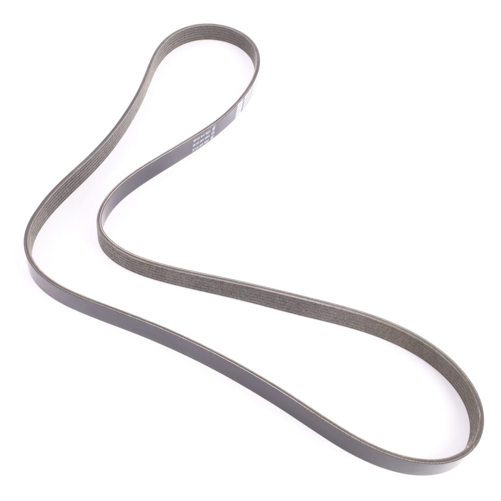 1000428042 - Belt