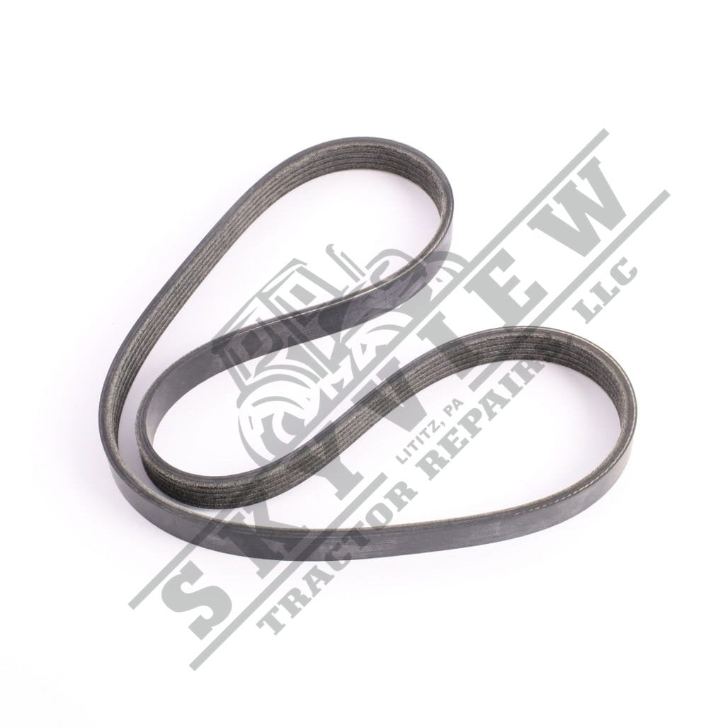 1000451439 - Belt