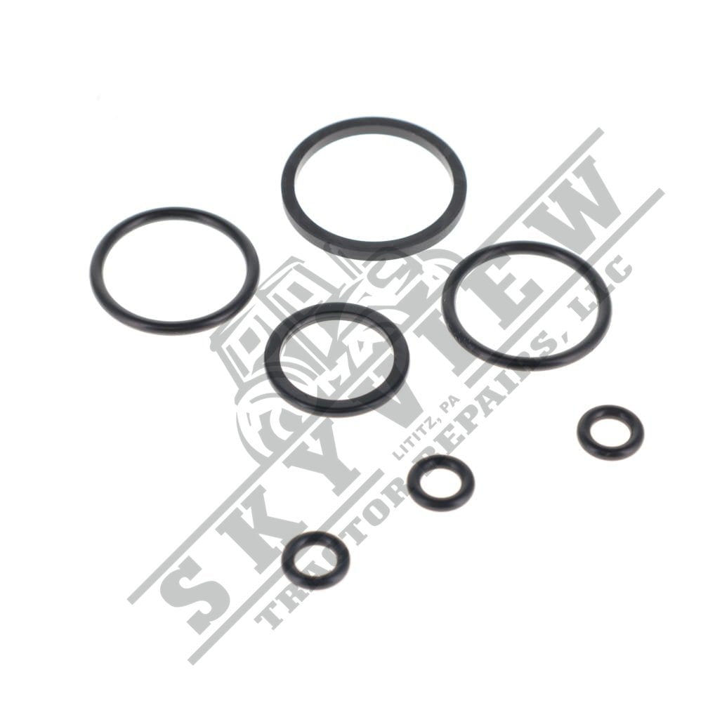 1000466204 - Seal Kit